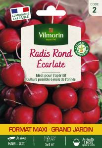 Radis Rond Ecarlate - Grand Modèle